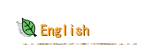 �p��̃y�[�W��